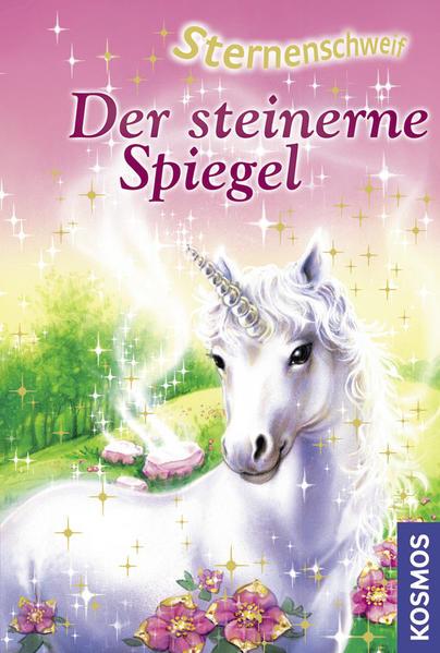 Buchcover Der steinerne Spiegel