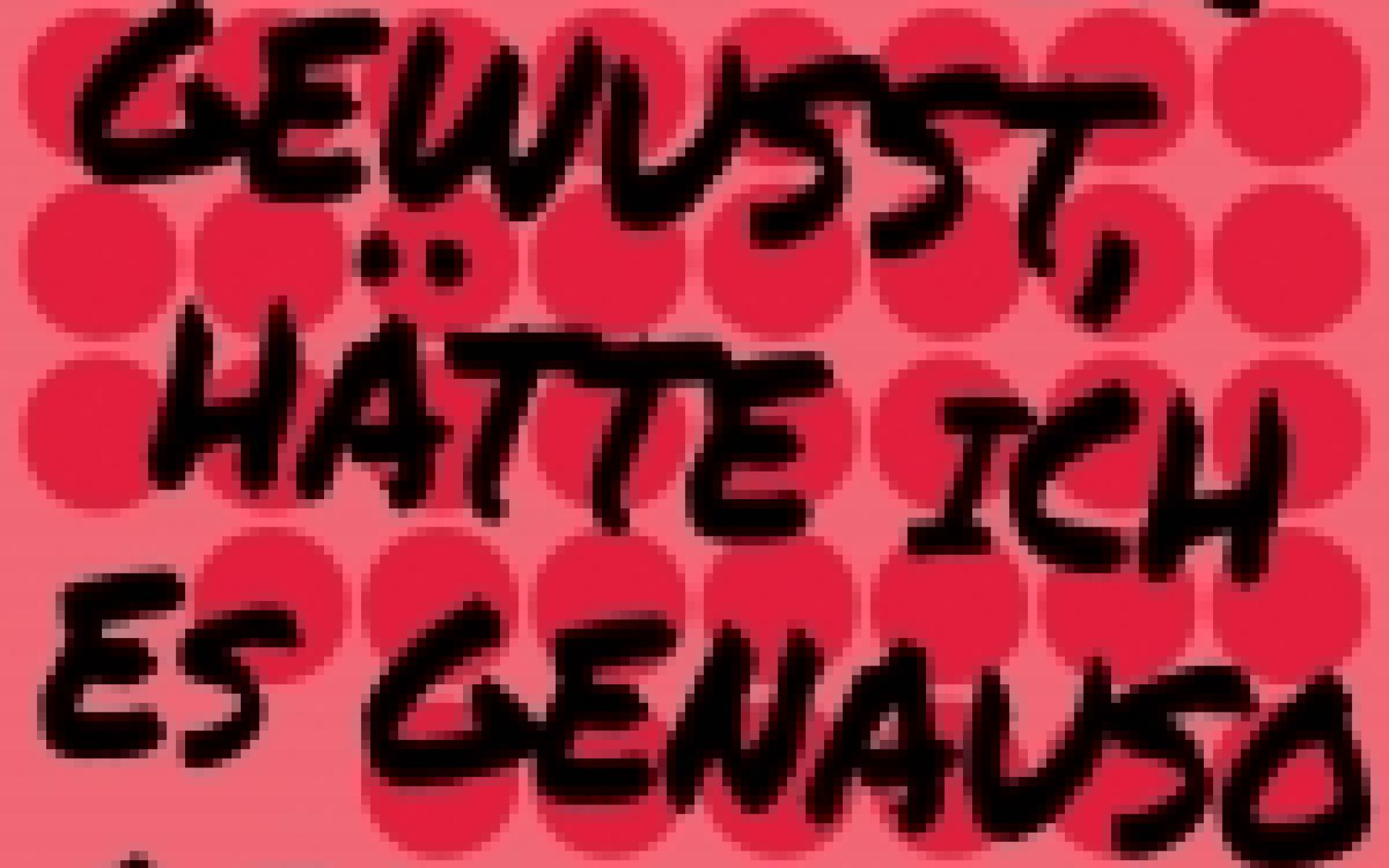 Buchcover Schriftzug Hätte ich es vorher gewusst, hätte ich es genauso gemacht